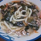 みぞれ肉野菜うどん。